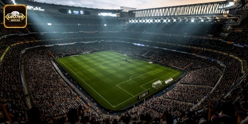 Kích thước sân bóng tiêu chuẩn – Quy chuẩn vàng cho mọi trận đấu